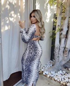 Nude Snake Print Off Shoulder Long Sleeves Skirt Two Piece Set -rehab shop nude snake print off shoulder long sleeves skirt two piece set hot miami styles 119438